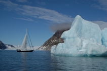 Wandering Albatross sails in the ice