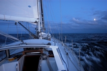 Wandering Albatross sailing into the evening