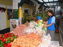 Horta fresh market
